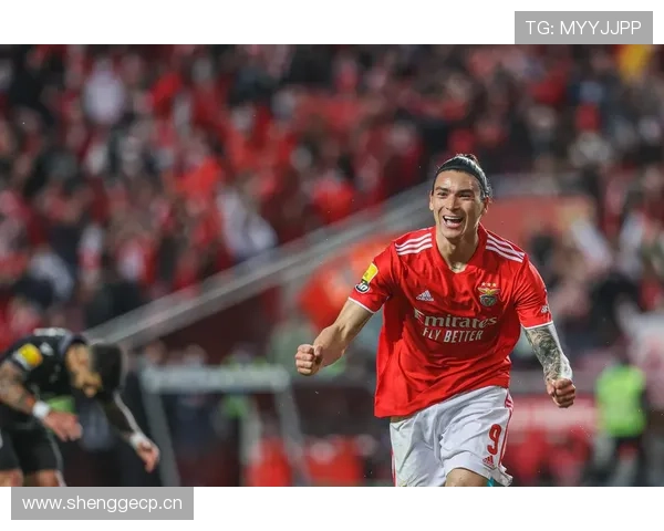 努涅斯转会费解析：市场溢价评估